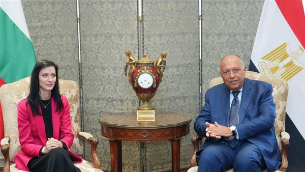 وزير الخارجية ونظيرته