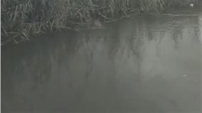 لطلب فدية من أهليته.. ننشر قائمة الشهود في جريمة إنهاء حياة صغير بالشرقية وإلقائه بالرشاح على يد ابن خالته