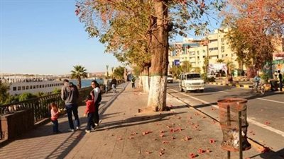 طقس دافئ على أسوان والعظمى 29.. وتحذير من نشاط رياح مثيرة للأتربة | بث مباشر