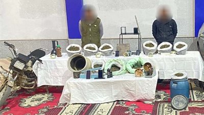 ضبط مواد مخدرة بقيمة 7 ملايين جنيه بالإسماعيلية