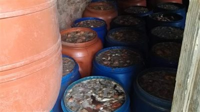 ضبط 3 أطنان مخلل غير صالحة وإعدام 60 كيلو أغذية تالفة بشبين القناطر 