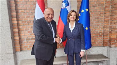 وزير الخارجية يستعرض الموقف المصري لحل الأزمة في غزة 