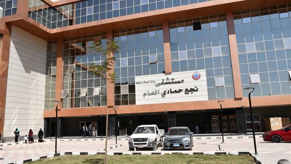 مستشفى نجع حمادي