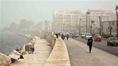 رياح مثيرة للأتربة تضرب الإسكندرية.. ورفع درجة الاستعداد لمواجهة سقوط الأمطار | بث مباشر