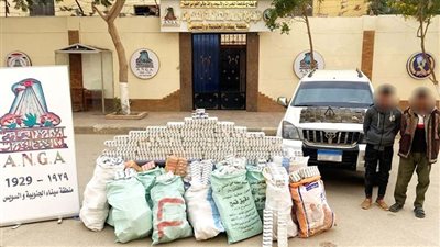 مخدرات بـ32 مليون جنيه.. ضبط تاجري صنف بحوزتهما 300 ألف قرص تامول و30 كجم حشيش بالسويس 