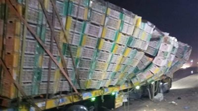 سقوط أقفاص من عربة محملة باليوسفي على طريق مصر إسكندرية الزراعي.. ومصدر: لا تأثر بحركة السير