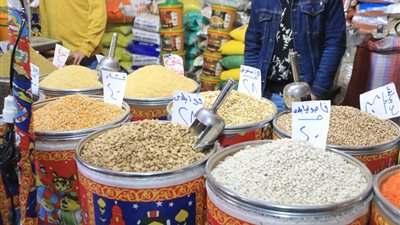 محافظ القليوبية يفتتح اليوم معرض أهلا رمضان في بنها 