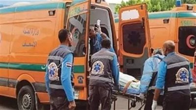 الجثث متفحمة.. ننشر أسماء السودانيين ضحايا انقلاب سيارة ربع نقل بطريق العلاقي في أسوان