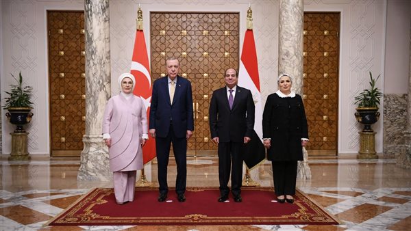 الرئيس السيسي وأردوغان