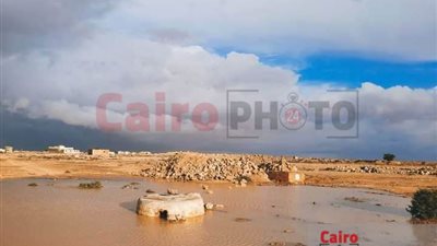 بعد ليلة ممطرة.. تجمع مياه الأمطار في صحراء مطروح وسط فرحة الأهالي | صور 