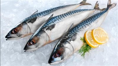 الجمبري بـ 350 جنيهًا والبلطي بـ 80.. أسعار الأسماك اليوم الجمعة في الأسواق | بث مباشر