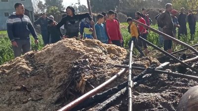 أكثر من 2 مليون جنيه جنيه خسائر حريق هائل في حظائر وعشش بكفر الزيات| صور 