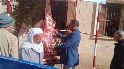 تموين المنيا تضبط 165 مخالفة متنوعة خلال حملات على المخابز البلدية والأسواق