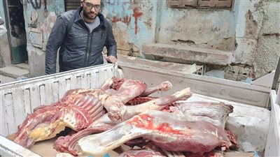 ضبط 3.5 طن لحوم ودواجن فاسدة بأكتوبر وزايد والعجوزة والدقي