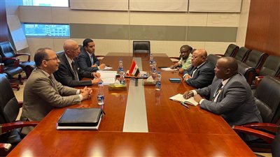 من إثيوبيا.. مصر تؤكد دعم الصومال وسيادته ووحدة أراضيه