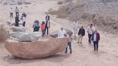 برلمانيون يزورون سيمبوزيوم أسوان للنحت على الجرانيت