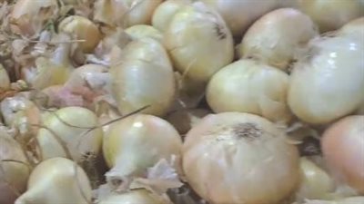 الكيلو بـ 10 جنيهات.. انخفاض أسعار البصل في الأسواق اليوم | بث مباشر