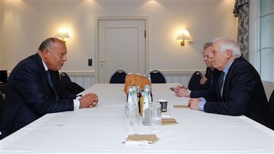 شكري وبوريل يؤكدان حرصهما على العمل المشترك لتحقيق انفراجة بشأن غزة