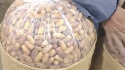 الكيلو بـ20 جنيهًا.. انخفاض أسعار التمور قبل شهر رمضان | بث مباشر