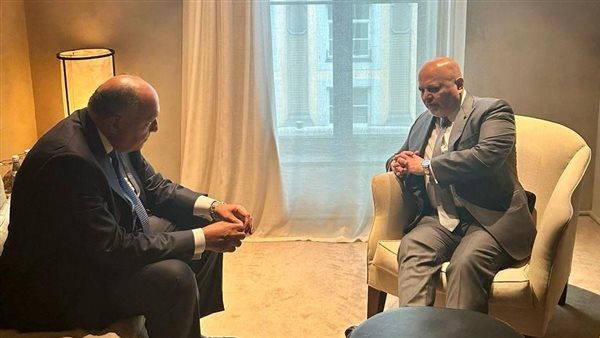 وزير الخارجية يلتقي