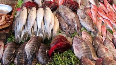 أسعار الأسماك اليوم الثلاثاء 10 يونيو 2025 في سوق العبور