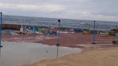 أمطار غزيرة وغيوم.. استمرار حالة عدم استقرار الطقس في الإسكندرية | بث مباشر