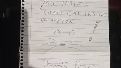 قطة في الموتور انتبة..رسالة بالإنجليزية من سائحة لمواطن أقصري على زجاج سيارته 