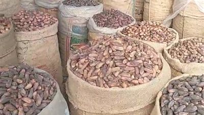 كاسر الصيام.. أسعار البلح في سوق العبور قبل حلول شهر رمضان المبارك