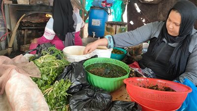 أم أحمد أرملة تعول 3 أبناء بكفر الشيخ من عملها بمهنة شوي الأسماك