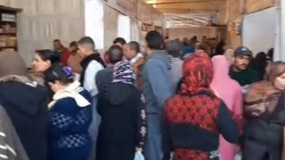 ضخ 350 ألف طن من السلع الأساسية بمعارض المنيا.. ومشاركة 103 منافذ بالمحافظة