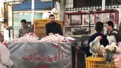 الفراخ البيضاء بـ 100 جنيه.. تعرف على أسعار الدواجن والطيور في القليوبية | بث مباشر 