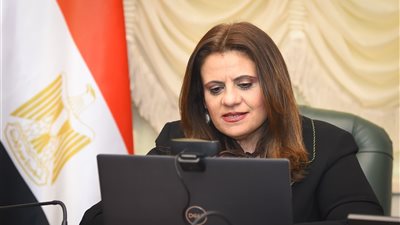 الهجرة تتيح خطوطا للتواصل المباشر مع الجاليات المصرية بالخارج بعد توترات المنطقة