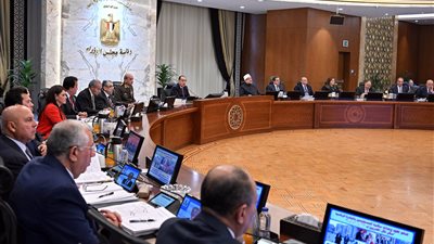 مجلس الوزراء: رفع الدعم عن بعض السلع الأساسية تدريجيا