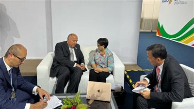 وزير الخارجية يلتقي نظيرته الإندونيسية.. ويثمن دعم بلادها تاريخيا للقضية الفلسطينية