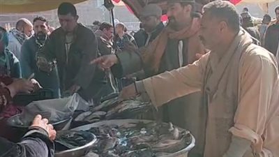 كيلو البلطي بـ80 جنيها.. زحام وإقبال كبير على سوق الأسماك بكفر الشيخ | بث مباشر