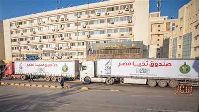 بيت الزكاة: انتهينا من توزيع 67 ألف كرتونة مواد غذائية في 8 محافظات