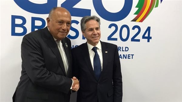 وزيرا الخارجية المصري