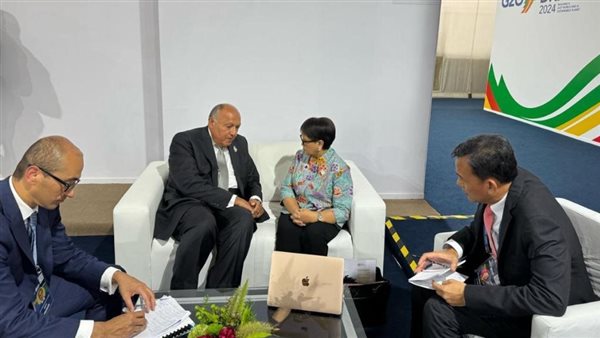 وزير الخارجية يلتقي