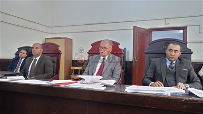 حملت منه سفاحًا.. المؤبد لمتهم بمواقعة شقيقته المعاقة ذهنيًا بالفيوم