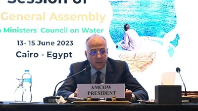 وزير الري: ينبغي الاعتماد على تحلية المياه للإنتاج الكثيف للغذاء على غرار العديد من الدول في العالم 