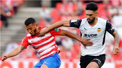 هل تؤجل مباراة فالنسيا وغرناطة بالدوري الإسباني بسبب الحريق؟