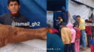 الناس مش لاقية تاكل.. لحوم الخيول ملاذ أهل غزة من المجاعة| صور