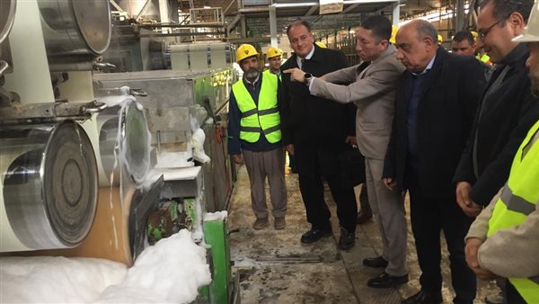 وزير قطاع الأعمال