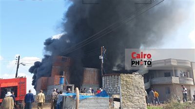 الكتاكيت ماتت.. حريق يلتهم 10 آلاف دجاجة بمزرعة دواجن بكفر الشيخ