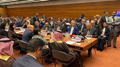 وزير الخارجية: غض بعض الدول البصر عن المعاناة الإنسانية للفلسطينيين أمر مشين