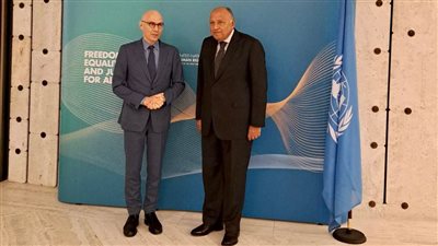 شكري يؤكد لمفوض الأمم المتحدة أهمية تسلط الضوء على انتهاكات إسرائيل لحقوق الإنسان في غزة