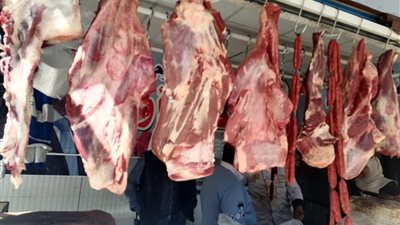 ضبط جزارين لبيعهم لحومًا غير صالحة للاستهلاك الآدمي بالبحيرة