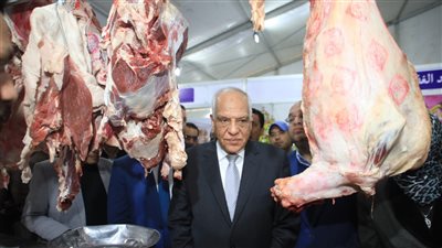 كيلو اللحمة بـ320 جنيها.. محافظ الجيزة يفتتح معارض أهلا رمضان بالبدرشين والحوامدية