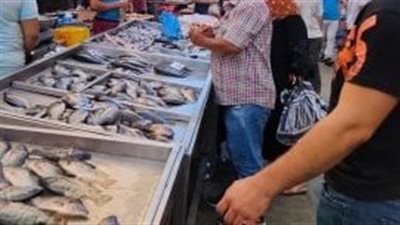 أسعار الأسماك اليوم  الثلاثاء 19 مارس 2024 في سوق العبور للجملة