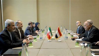 وزير الخارجية يلتقي نظيره الإيراني على هامش اجتماعات مجلس حقوق الإنسان بجنيف 